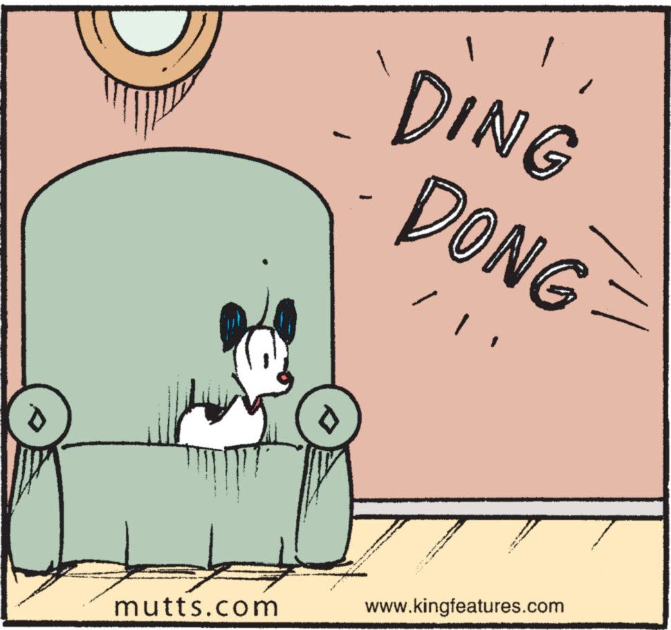 Drawing OCR: mutts.com P • Ven SAN DING DONG nowy de www.kingfeatures.com mutts.com P • Ven SAN DING DONG nowy de www.kingfeatures.com