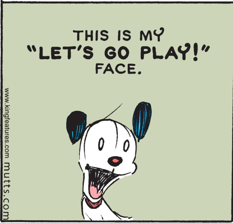 Line OCR: www.kingfeatures.com mutts.com THIS IS MY “LET'S GO PLAY!" FACE. 0 www.kingfeatures.com mutts.com THIS IS MY “ LET'S GO PLAY ! " FACE . 0