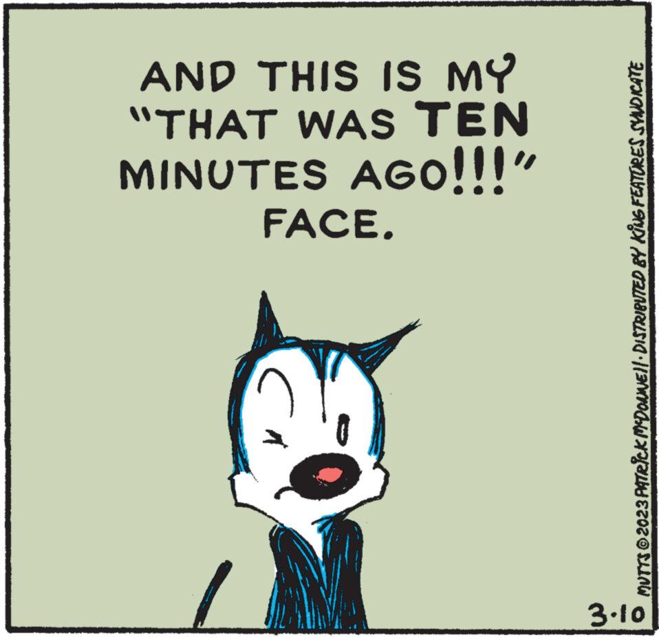 Felidae OCR: AND THIS IS MY "THAT WAS TEN MINUTES AGO!!!" FACE. MUTTS © 2023 PATRICK MCDONNE||· DISTRIBUTED BY KING FEATURES SYNDICATE 3.10 AND THIS IS MY " THAT WAS TEN MINUTES AGO !!! " FACE . MUTTS © 2023 PATRICK MCDONNE || · DISTRIBUTED BY KING FEATURES SYNDICATE 3.10