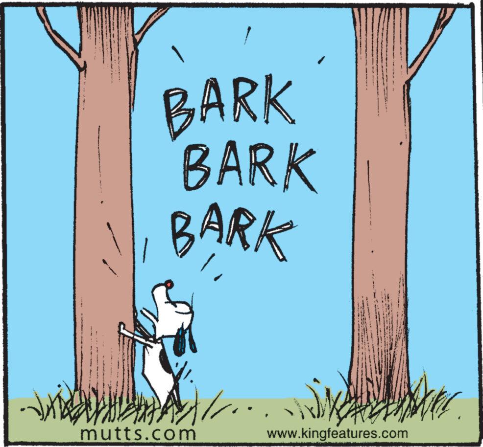 Art OCR: 1 BARK BARK BARK mutts.com www.kingfeatures.com 1 BARK BARK BARK mutts.com www.kingfeatures.com