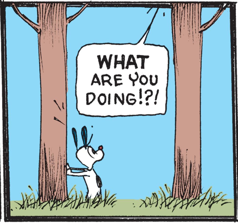 Grass OCR: H WHAT ARE YOU DOING!?! H WHAT ARE YOU DOING ! ? !