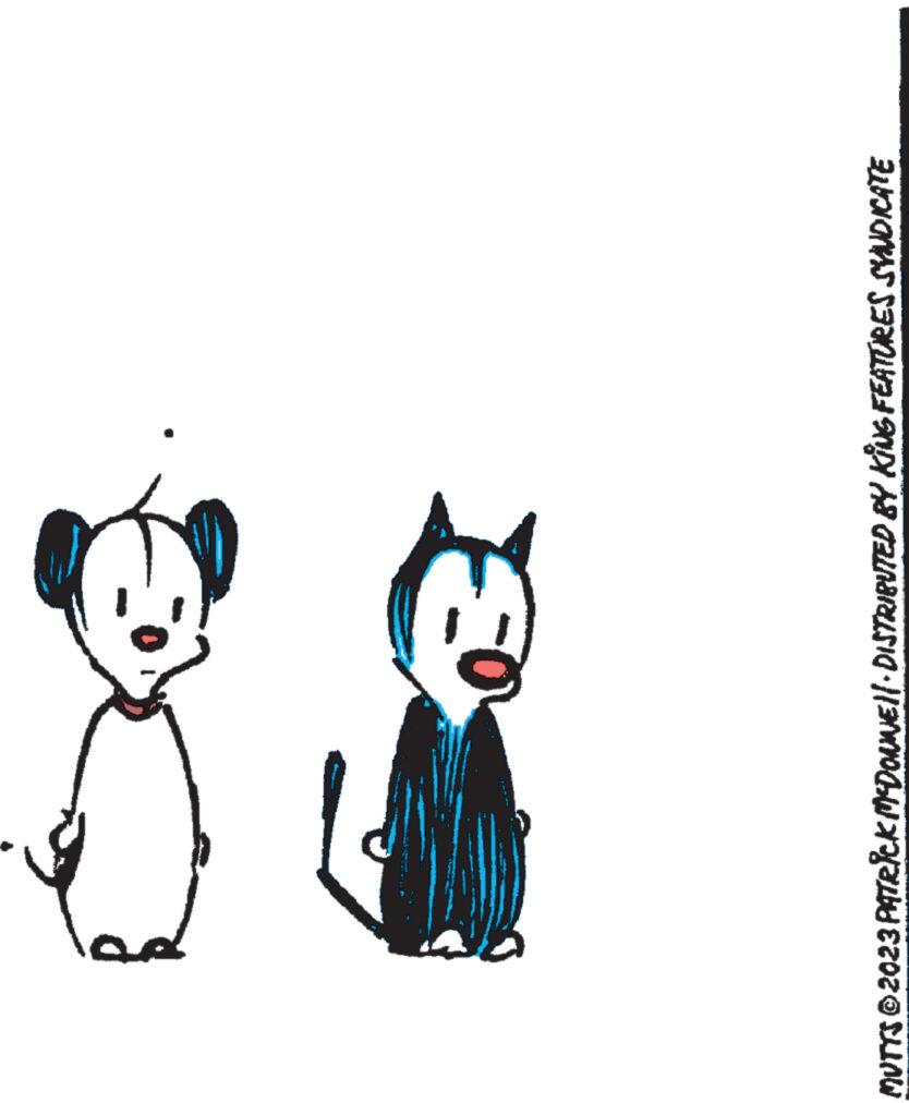 Illustration OCR: 3 MUTTS ©2023 PATRICK MCDONNE||· DISTRIBUTED BY KING FEATURES SYNDICATE 3 MUTTS © 2023 PATRICK MCDONNE || · DISTRIBUTED BY KING FEATURES SYNDICATE