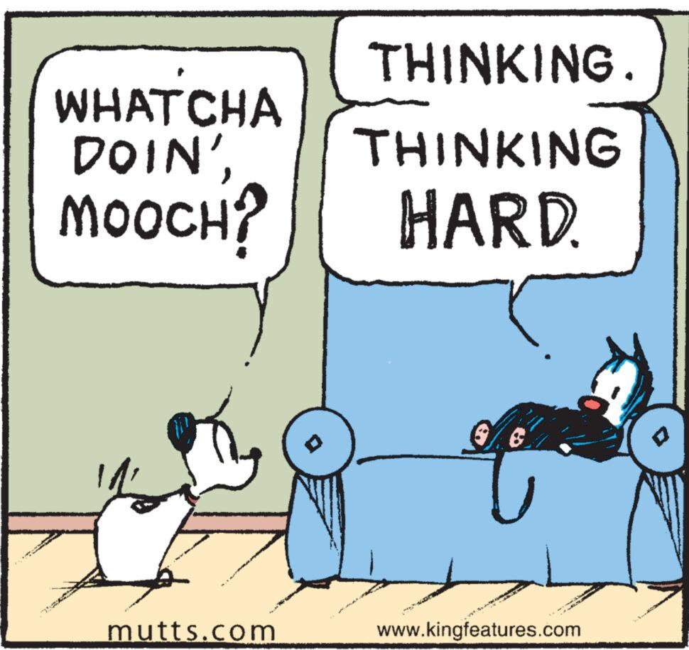 Art OCR: THINKING. WHATCHA DOIN'THINKING MOOCH? HARD. mutts.com 3. & A www.kingfeatures.com THINKING . WHATCHA DOIN 'THINKING MOOCH ? HARD . mutts.com 3 . & A www.kingfeatures.com