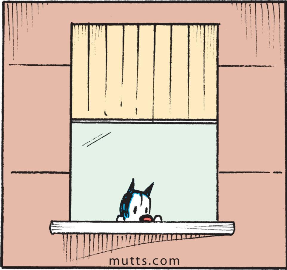 Mutts - Part 1 - 2023-03-18