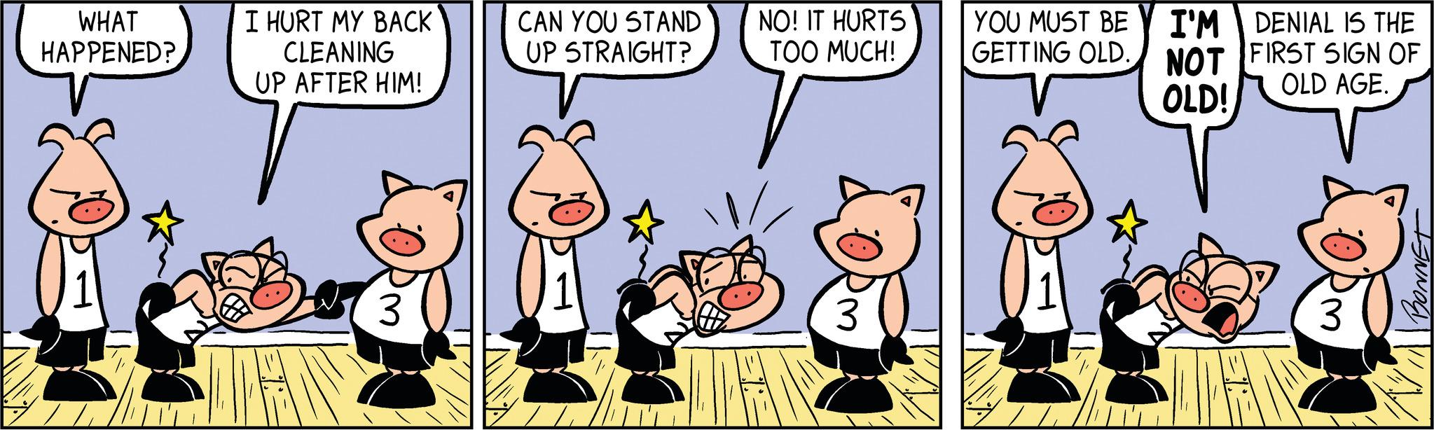 Sharing OCR: WHAT HAPPENED? I HURT MY BACK CLEANING UP AFTER HIM! T 3 CAN YOU STAND UP STRAIGHT? NO! IT HURTS TOO MUCH! JA 'm YOU MUST BE I'M DENIAL IS THE GETTING OLD NOT FIRST SIGN OF OLD AGE. OLD! 10: BONNET WHAT HAPPENED ? I HURT MY BACK CLEANING UP AFTER HIM ! T 3 CAN YOU STAND UP STRAIGHT ? NO ! IT HURTS TOO MUCH ! JA ' m YOU MUST BE I'M DENIAL IS THE GETTING OLD NOT FIRST SIGN OF OLD AGE . OLD ! 10 : BONNET