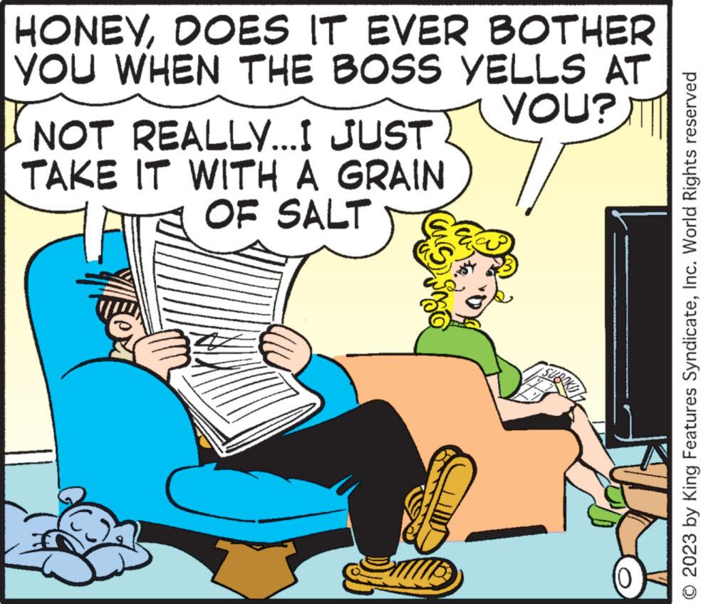 Conversation OCR: HONEYDOES IT EVER BOTHER YOU WHEN THE BOSS YELLS AT YOU? NOT REALLY...I JUST TAKE IT WITH A GRAIN OF SALT © 2023 by King Features SyndicateInc. World Rights reserved HONEYDOES IT EVER BOTHER YOU WHEN THE BOSS YELLS AT YOU ? NOT REALLY ... I JUST TAKE IT WITH A GRAIN OF SALT © 2023 by King Features SyndicateInc. World Rights reserved