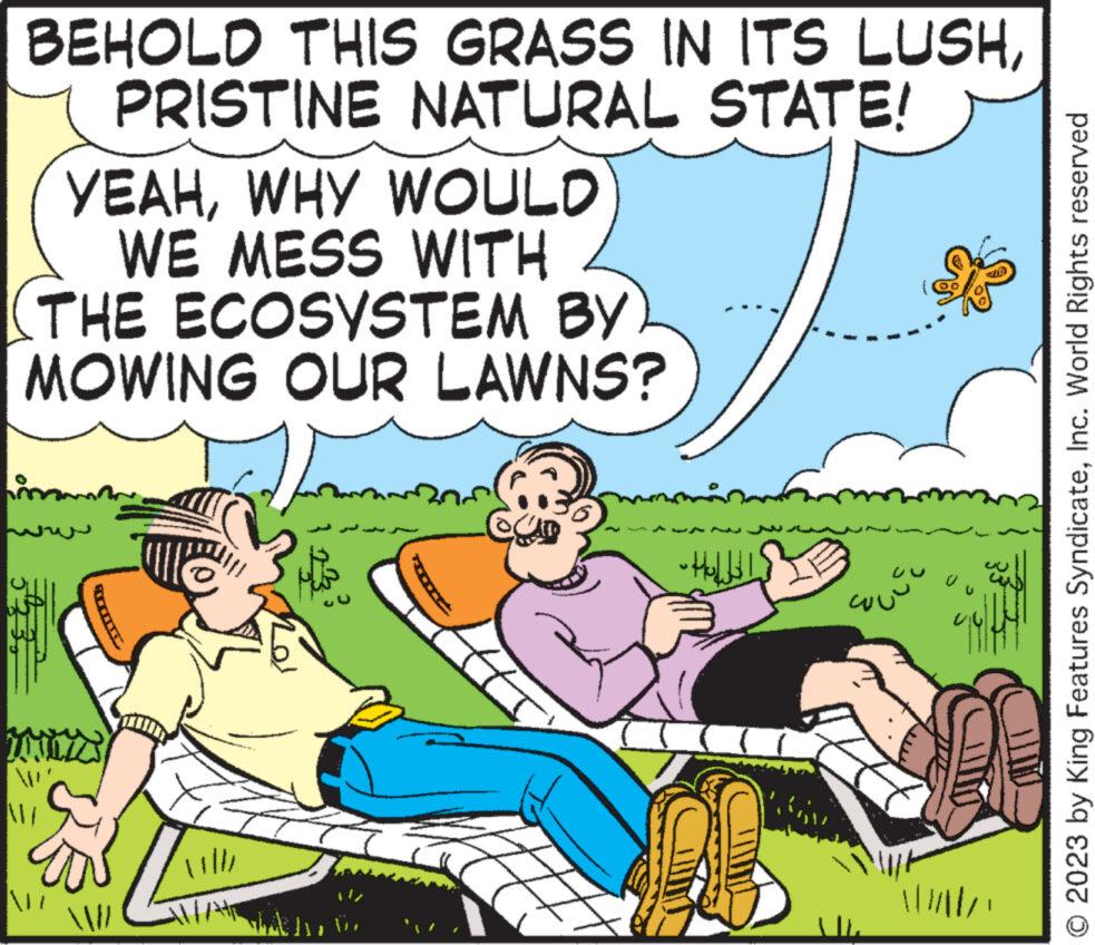 Publication OCR: BEHOLD THIS GRASS IN ITS LUSHPRISTINE NATURAL STATE! YEAHWHY WOULD WE MESS WITH (THE ECOSYSTEM BY MOWING OUR LAWNS? NI (I/// ***** ??? ??? ??? ( £ |////// © 2023 by King Features SyndicateInc. World Rights reserved BEHOLD THIS GRASS IN ITS LUSHPRISTINE NATURAL STATE ! YEAHWHY WOULD WE MESS WITH ( THE ECOSYSTEM BY MOWING OUR LAWNS ? NI ( I /// ***** ??? ??? ??? ( £ | ////// © 2023 by King Features SyndicateInc. World Rights reserved