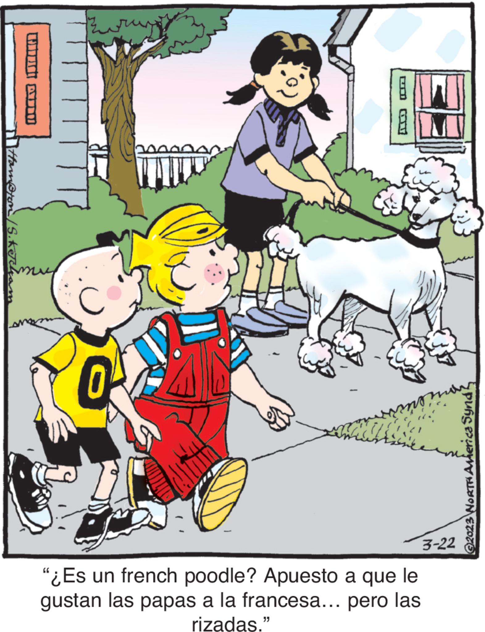 Plant OCR: Hampton/S.Ketchar WHAT ??? D E D "¿Es un french poodle? Apuesto a que le gustan las papas a la francesa….. pero las rizadas." 3-22 ©2023 NORTH America Synd? Hampton / S.Ketchar WHAT ??? D E D " ¿ Es un french poodle ? Apuesto a que le gustan las papas a la francesa … .. pero las rizadas . " 3-22 © 2023 NORTH America Synd ?