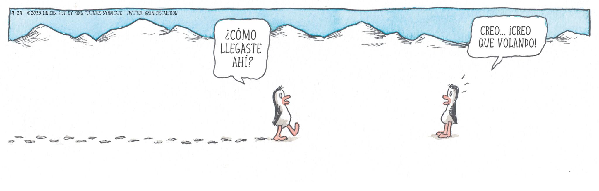 Font OCR: 4-24 2023 LINIERSDIST. BY KING FEATURES SYNDICATE TWITTER: @LINIERSCARTOON ¿CÓMO LLEGASTE AHÍ? CREO... ICREO QUE VOLANDO! 4-24 2023 LINIERSDIST . BY KING FEATURES SYNDICATE TWITTER : @LINIERSCARTOON ¿ CÓMO LLEGASTE AHÍ ? CREO ... ICREO QUE VOLANDO !
