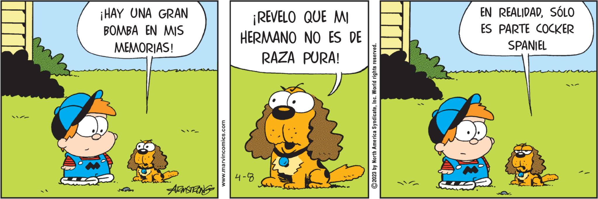 Illustration OCR: ¡HAY UNA GRAN BOMBA EN MIS MEMORIAS! ARMSTRONG www.marvincomics.com ¡REVELO QUE MI HERMANO NO ES DE RAZA PURA! 4-8 ?2023 by North America SyndicateInc. World rights reserved. EN REALIDADSÓLO ES PARTE COCKER SPANIEL ¡ HAY UNA GRAN BOMBA EN MIS MEMORIAS ! ARMSTRONG www.marvincomics.com ¡ REVELO QUE MI HERMANO NO ES DE RAZA PURA ! 4-8 ?2023 by North America SyndicateInc. World rights reserved . EN REALIDADSÓLO ES PARTE COCKER SPANIEL