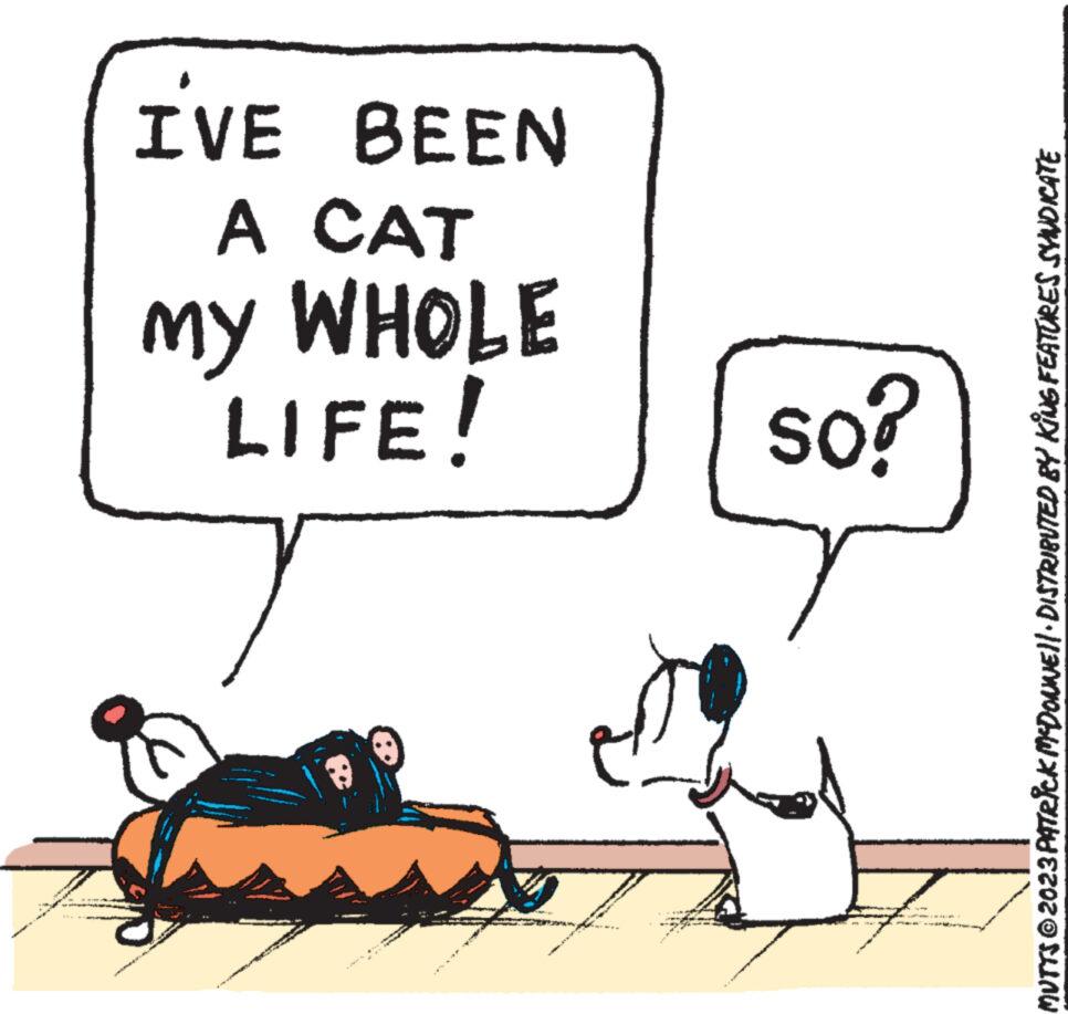 Illustration OCR: I'VE BEEN A CAT MY WHOLE my LIFE! www www so? 1 MUTTS © 2023 PATRICK MCDONNE||· DISTRIBUTED BY KING FEATURES SYNDICATE I'VE BEEN A CAT MY WHOLE my LIFE ! www www so ? 1 MUTTS © 2023 PATRICK MCDONNE || · DISTRIBUTED BY KING FEATURES SYNDICATE