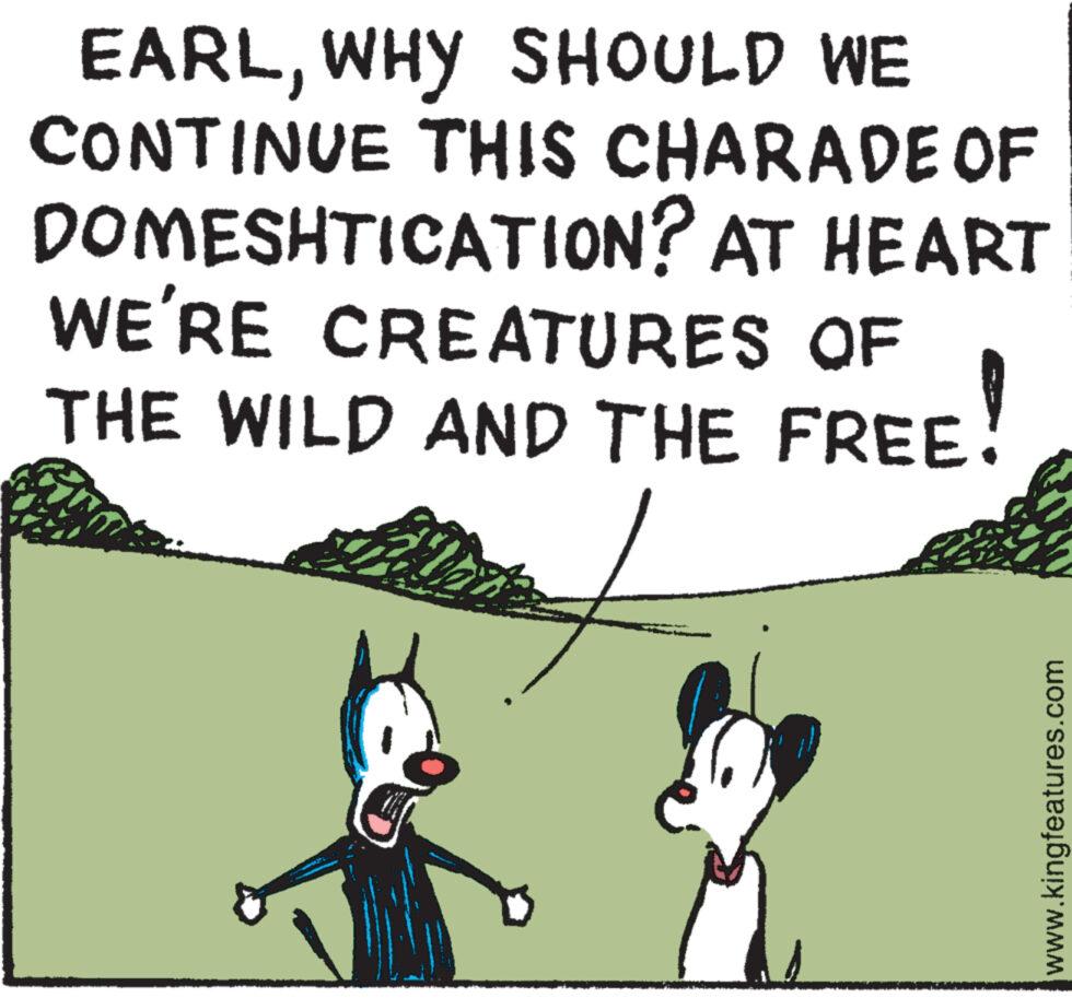 Adaptation OCR: EARLWHY SHOULD WE CONTINUE THIS CHARADE OF DOMESHTICATION? AT HEART WE'RE CREATURES OF THE WILD AND THE FREE www.kingfeatures.com EARLWHY SHOULD WE CONTINUE THIS CHARADE OF DOMESHTICATION ? AT HEART WE'RE CREATURES OF THE WILD AND THE FREE www.kingfeatures.com