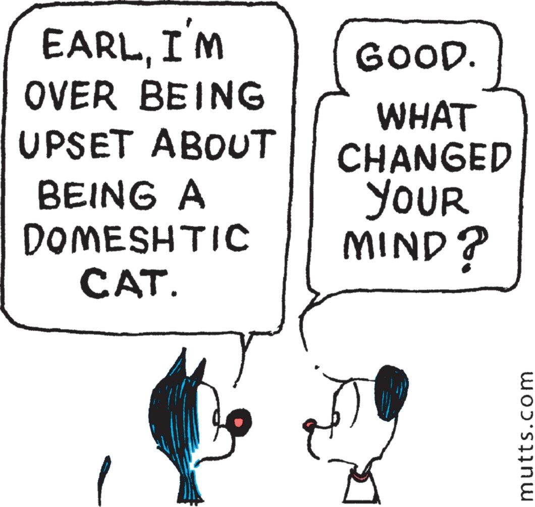Pleased OCR: EARLI'M OVER BEING UPSET ABOUT BEING A GOOD. WHAT CHANGED YOUR DOMESHTIC MIND? CAT. mutts.com EARLI'M OVER BEING UPSET ABOUT BEING A GOOD . WHAT CHANGED YOUR DOMESHTIC MIND ? CAT . mutts.com