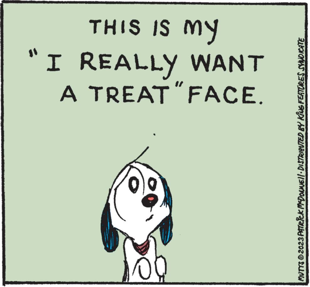 Drawing OCR: THIS IS MY "I REALLY WANT A TREAT "FACE. 100 MUTTS © 2023 PATRICK MCDONNE||· DISTRIBUTED BY KING FEATURES SYNDICATE THIS IS MY " I REALLY WANT A TREAT " FACE . 100 MUTTS © 2023 PATRICK MCDONNE || · DISTRIBUTED BY KING FEATURES SYNDICATE