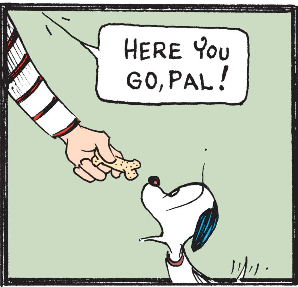 Illustration OCR: M HERE YOU GOPAL! yu M HERE YOU GOPAL ! yu