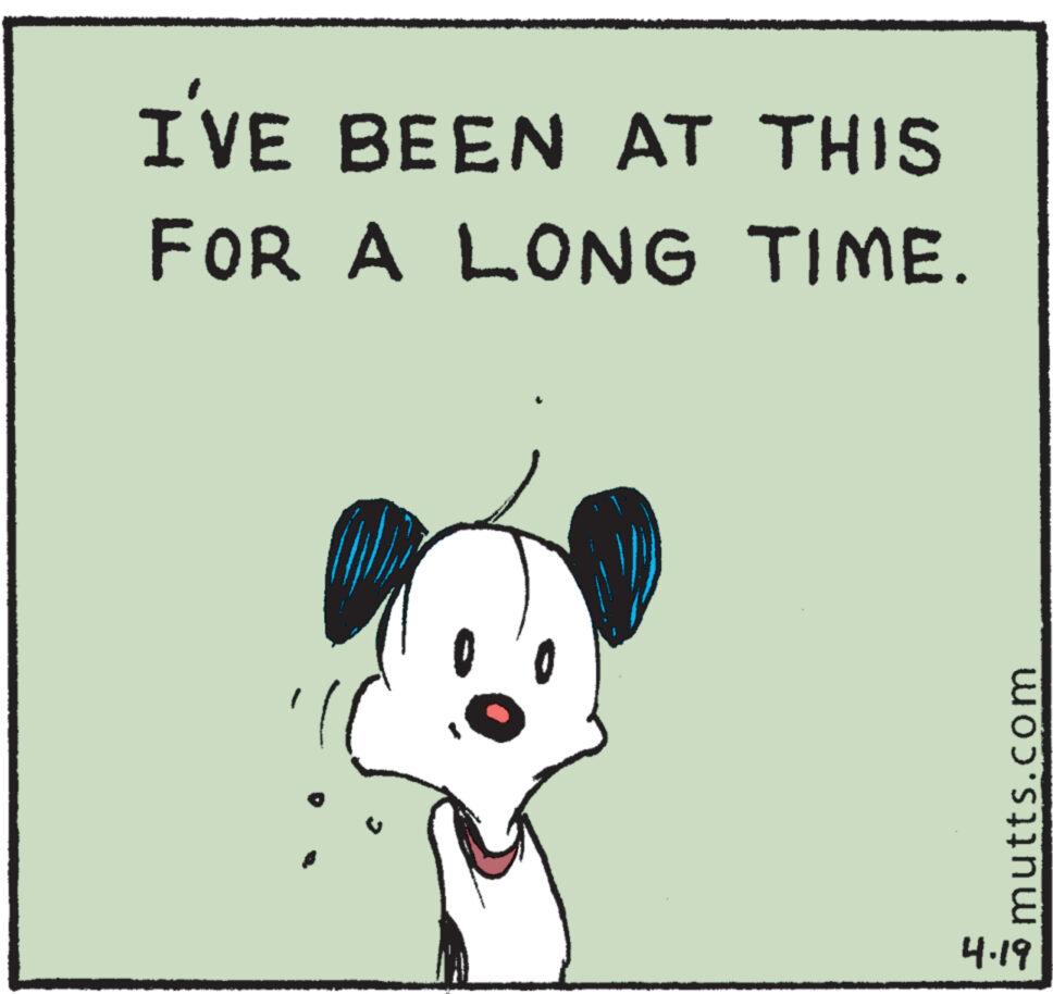 Illustration OCR: I'VE BEEN AT THIS FOR A LONG TIME. mutts.com 4.19 I'VE BEEN AT THIS FOR A LONG TIME . mutts.com 4.19