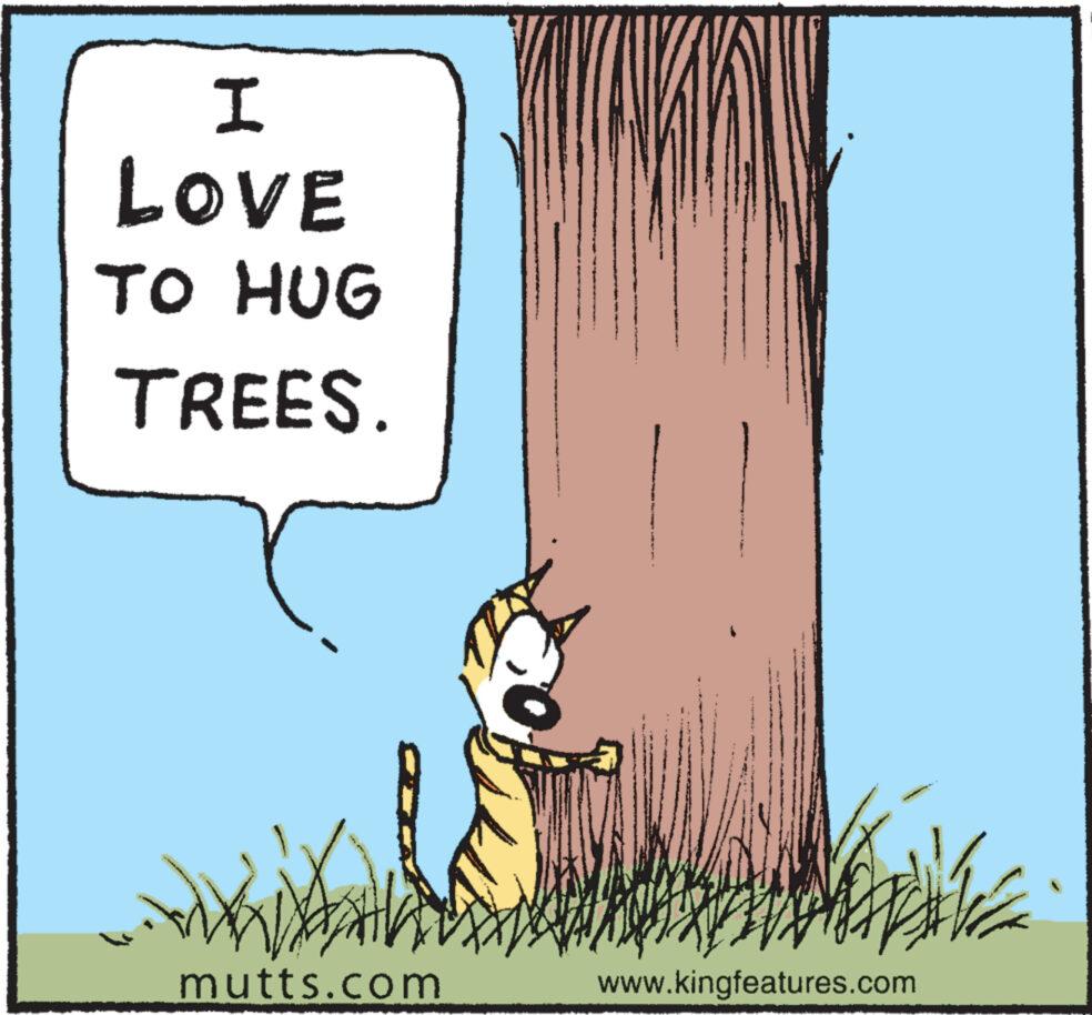 Whiskers OCR: I LOVE TO HUG TREES. mutts.com www.kingfeatures.com I LOVE TO HUG TREES . mutts.com www.kingfeatures.com