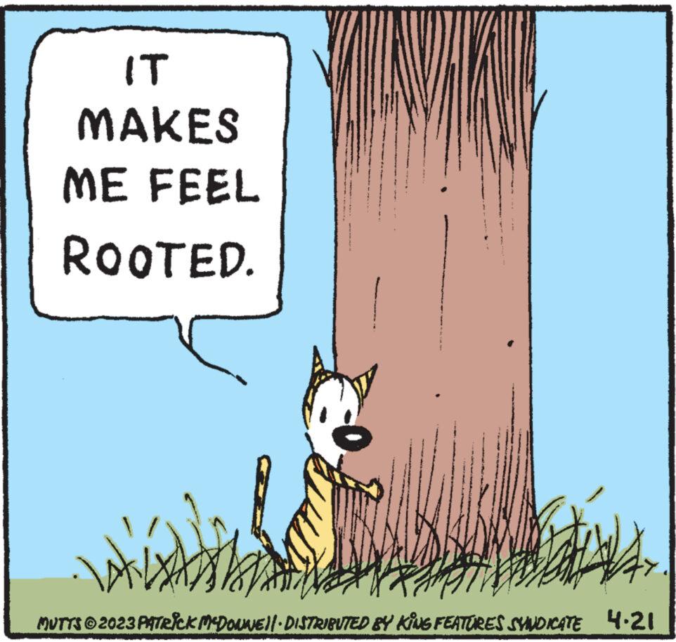 Illustration OCR: IT MAKES ME FEEL ROOTED. 2 ! ALX Ame MUTTS © 2023 PATRICK MCDONNE||· DISTRIBUTED BY KING FEATURES SYNDICATE 4.21 IT MAKES ME FEEL ROOTED . 2 ! ALX Ame MUTTS © 2023 PATRICK MCDONNE || · DISTRIBUTED BY KING FEATURES SYNDICATE 4.21