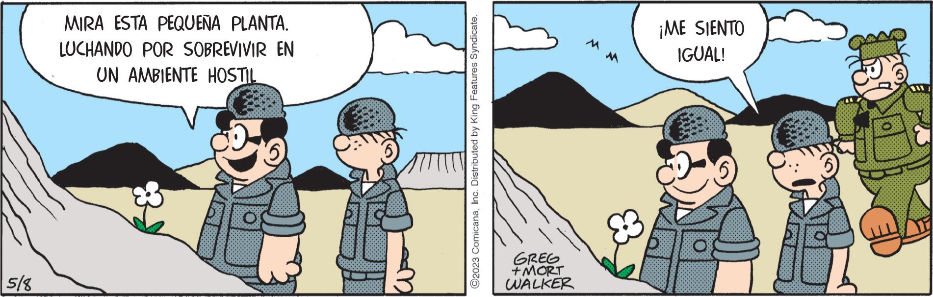 Happy OCR: 5/8 MIRA ESTA PEQUEÑA PLANTA. LUCHANDO POR SOBREVIVIR EN UN AMBIENTE HOSTIL ?2023 ComicanaInc. Distributed by King Features Syndicate. GREG +MORT WALKER ¡ME SIENTO IGUAL! SED 5/8 MIRA ESTA PEQUEÑA PLANTA . LUCHANDO POR SOBREVIVIR EN UN AMBIENTE HOSTIL ?2023 ComicanaInc. Distributed by King Features Syndicate . GREG + MORT WALKER ¡ ME SIENTO IGUAL ! SED