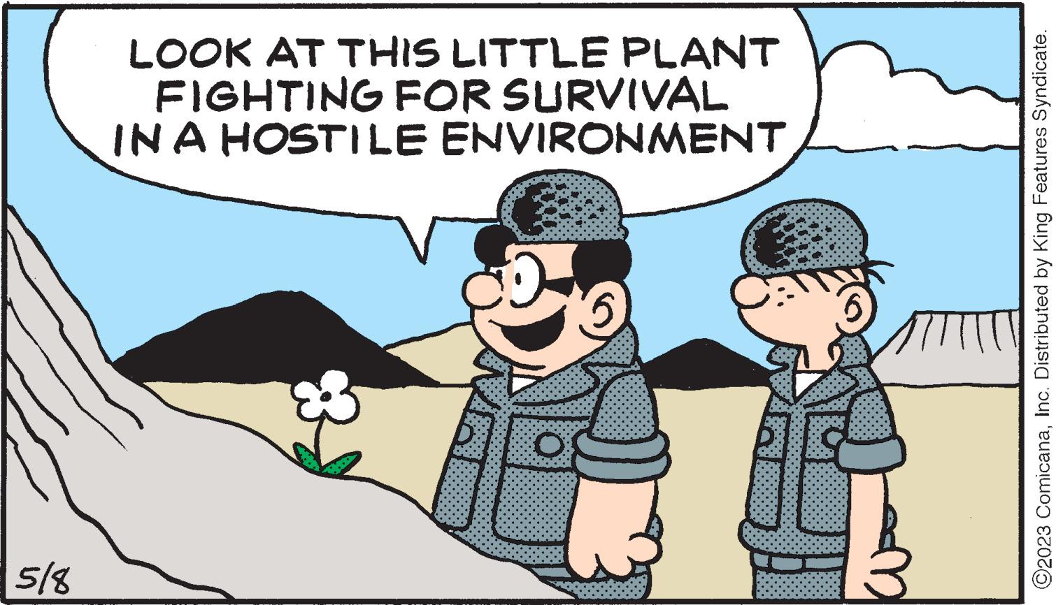 Interaction OCR: 5/8 LOOK AT THIS LITTLE PLANT FIGHTING FOR SURVIVAL IN A HOSTILE ENVIRONMENT ?2023 ComicanaInc. Distributed by King Features Syndicate. 5/8 LOOK AT THIS LITTLE PLANT FIGHTING FOR SURVIVAL IN A HOSTILE ENVIRONMENT ?2023 ComicanaInc. Distributed by King Features Syndicate .