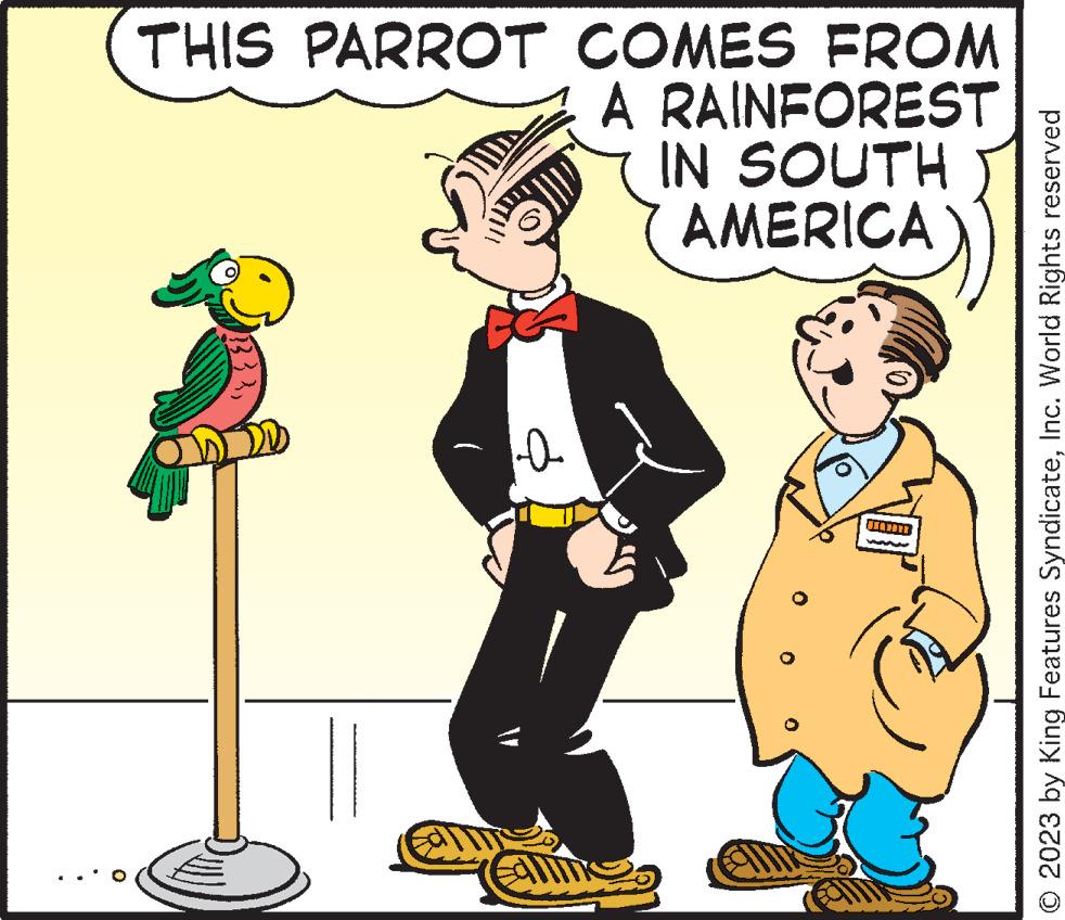 Humour OCR: 0 THIS PARROT COMES FROM A RAINFOREST IN SOUTH AMERICA 1333a ?? © 2023 by King Features SyndicateInc. World Rights reserved 0 THIS PARROT COMES FROM A RAINFOREST IN SOUTH AMERICA 1333a ?? © 2023 by King Features SyndicateInc. World Rights reserved