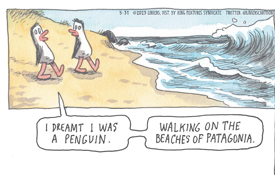 Illustration OCR: LV 100 I DREAMT I WAS A PENGUIN. 5-31 2023 LINIERSBY KING FEATURES SYNDICATE TWITTER: @LINIERSCARTOON WALKING ON THE BEACHES OF PATAGONIA. LV 100 I DREAMT I WAS A PENGUIN . 5-31 2023 LINIERSBY KING FEATURES SYNDICATE TWITTER : @LINIERSCARTOON WALKING ON THE BEACHES OF PATAGONIA .