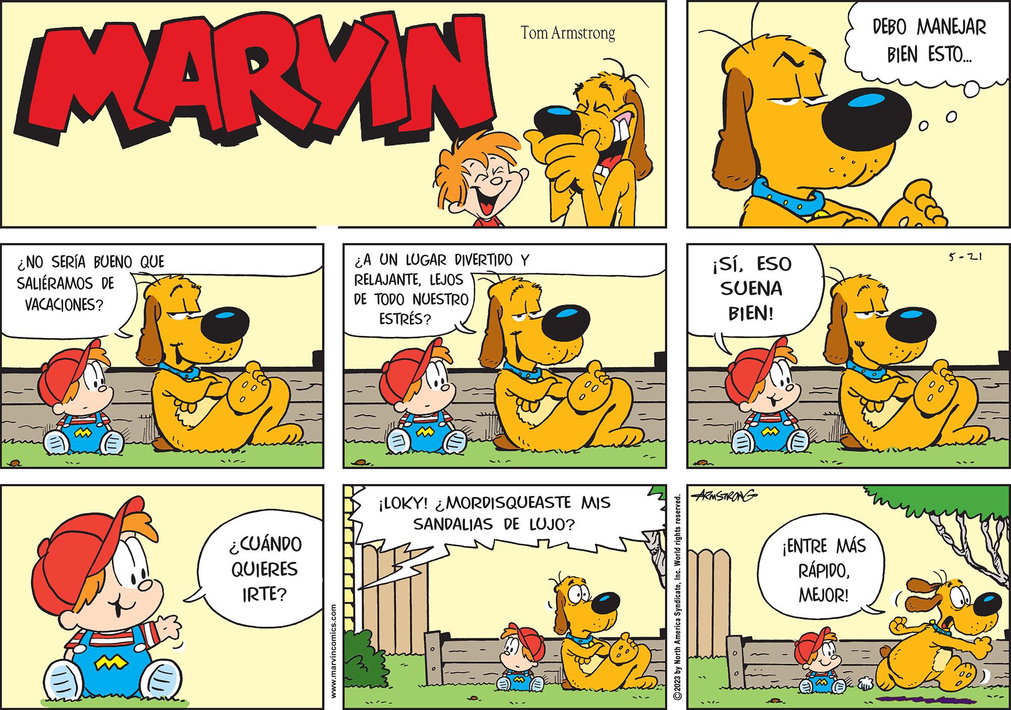Rectangle OCR: MARKIN ¿NO SERÍA BUENO QUE SALIÉRAMOS DE VACACIONES? ¿CUÁNDO QUIERES IRTE? www.marvincomics.com Tom Armstrong ¿A UN LUGAR DIVERTIDO Y RELAJANTELEJOS DE TODO NUESTRO ESTRÉS? ¡LOKY! ¿MORDISQUEASTE MIS SANDALIAS DE LUJO? ?2023 by North America SyndicateInc. World rights reserved. ¡SÍESO SUENA BIEN! ARMSTRONG ¡ENTRE MÁS RÁPIDOMEJOR! DEBO MANEJAR BIEN ESTO... 5-21 MARKIN ¿ NO SERÍA BUENO QUE SALIÉRAMOS DE VACACIONES ? ¿ CUÁNDO QUIERES IRTE ? www.marvincomics.com Tom Armstrong ¿ A UN LUGAR DIVERTIDO Y RELAJANTELEJOS DE TODO NUESTRO ESTRÉS ? ¡ LOKY ! ¿ MORDISQUEASTE MIS SANDALIAS DE LUJO ? ?2023 by North America SyndicateInc. World rights reserved . ¡ SÍESO SUENA BIEN ! ARMSTRONG ¡ ENTRE MÁS RÁPIDOMEJOR ! DEBO MANEJAR BIEN ESTO ... 5-21