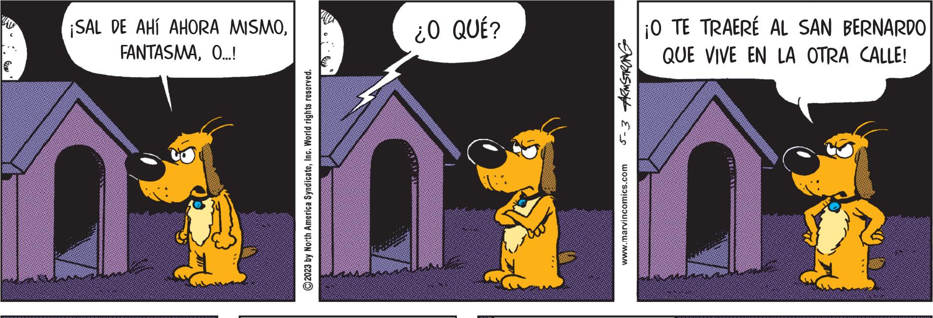Photo caption OCR: ¡SAL DE AHÍ AHORA MISMOO...! ¿O QUÉ? ??0 ¡O TE TRAERÉ AL SAN BERNARDO QUE VIVE EN LA OTRA CALLE! D1 D101 ¡ SAL DE AHÍ AHORA MISMOO ... ! ¿ O QUÉ ? ?? 0 ¡ O TE TRAERÉ AL SAN BERNARDO QUE VIVE EN LA OTRA CALLE ! D1 D101