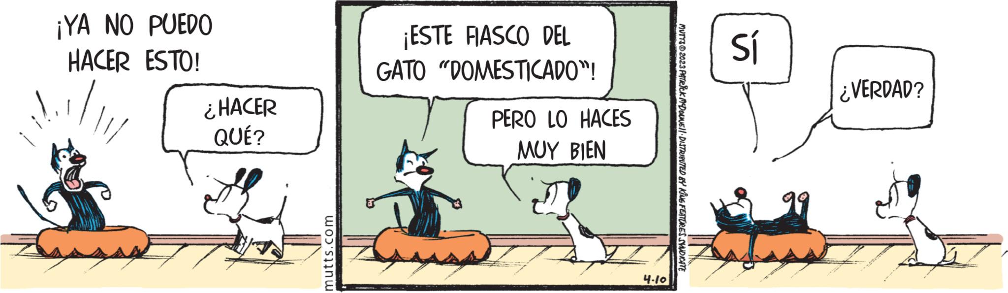 Art OCR: ¡YA NO PUEDO HACER ESTO! ¿HACER QUÉ? mutts.com ¡ESTE FIASCO DEL GATO "DOMESTICADO”! PERO LO HACES MUY BIEN 4.10 MUTTS2023 PATRICK MCDOUNE 11 DISTRIBUTED BY KING FEATURES SHNDICATE ins ¿VERDAD? ¡ YA NO PUEDO HACER ESTO ! ¿ HACER QUÉ ? mutts.com ¡ ESTE FIASCO DEL GATO " DOMESTICADO ” ! PERO LO HACES MUY BIEN 4.10 MUTTS2023 PATRICK MCDOUNE 11 DISTRIBUTED BY KING FEATURES SHNDICATE ins ¿ VERDAD ?
