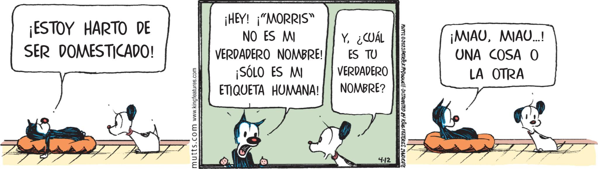 Art OCR: ¡ESTOY HARTO DE SER DOMESTICADO! mutts.com www.kingfeatures.com ¡HEY! ¡"MORRIS" NO ES MI VERDADERO NOMBRE! ¡SÓLO ES MI ETIQUETA HUMANA! Y. ¿CUÁL ES TU VERDADERO NOMBRE? 4.12 MUTTS ©2023 PATRICK MCDOUWEll · DISTRIBUTED BY KING FEATURES SYNDICATE ¡MIAUMIAU...! UNA COSA O LA OTRA ¡ ESTOY HARTO DE SER DOMESTICADO ! mutts.com www.kingfeatures.com ¡ HEY ! ¡ " MORRIS " NO ES MI VERDADERO NOMBRE ! ¡ SÓLO ES MI ETIQUETA HUMANA ! Y. ¿ CUÁL ES TU VERDADERO NOMBRE ? 4.12 MUTTS © 2023 PATRICK MCDOUWEll · DISTRIBUTED BY KING FEATURES SYNDICATE ¡ MIAUMIAU ... ! UNA COSA O LA OTRA