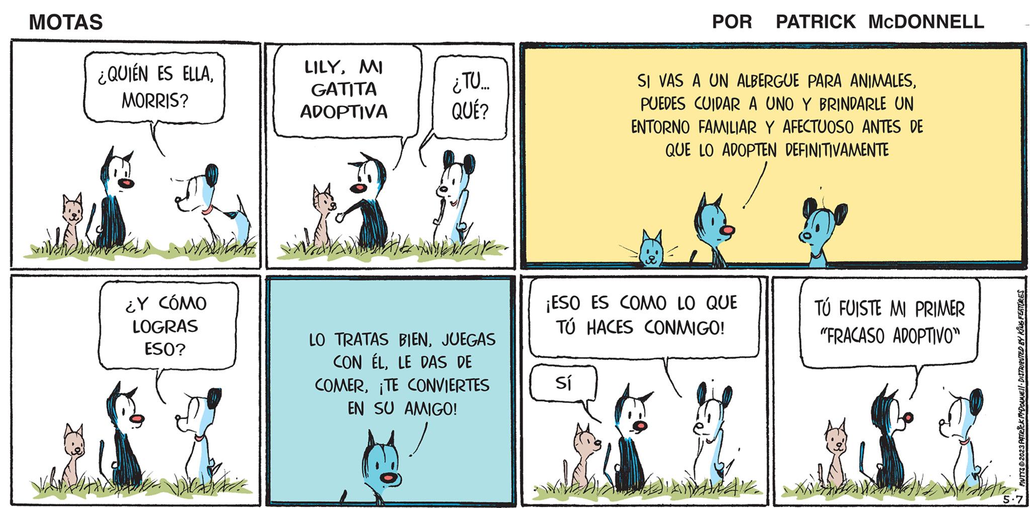 Design OCR: MOTAS ¿QUIÉN ES ELLAMORRIS? ¿Y CÓMO LOGRAS ESO? LILYMI GATITA ADOPTIVA ¿TU... QUÉ? LO TRATAS BIENJUEGAS CON ÉLLE DAS DE COMER¡TE CONVIERTES EN SU AMIGO! POR PATRICK MCDONNELL Sí SI VAS A UN ALBERGUE PARA ANIMALESPUEDES CUIDAR A UNO Y BRINDARLE UN ENTORNO FAMILIAR Y AFECTUOSO ANTES DE QUE LO ADOPTEN DEFINITIVAMENTE ¡ESO ES COMO LO QUE TÚ HACES CONMIGO! 41. TÚ FUISTE MI PRIMER "FRACASO ADOPTIVO" MUTYS © 2023 PATRICK MCDOWEL DISTRIBUTED BY KING FEATURES 5.7 MOTAS ¿ QUIÉN ES ELLAMORRIS ? ¿ Y CÓMO LOGRAS ESO ? LILYMI GATITA ADOPTIVA ¿ TU ... QUÉ ? LO TRATAS BIENJUEGAS CON ÉLLE DAS DE COMER¡ TE CONVIERTES EN SU AMIGO ! POR PATRICK MCDONNELL Sí SI VAS A UN ALBERGUE PARA ANIMALESPUEDES CUIDAR A UNO Y BRINDARLE UN ENTORNO FAMILIAR Y AFECTUOSO ANTES DE QUE LO ADOPTEN DEFINITIVAMENTE ¡ ESO ES COMO LO QUE TÚ HACES CONMIGO ! 41 . TÚ FUISTE MI PRIMER " FRACASO ADOPTIVO " MUTYS © 2023 PATRICK MCDOWEL DISTRIBUTED BY KING FEATURES 5.7