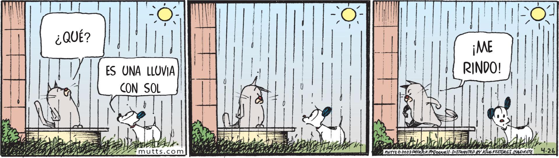 Facade OCR: ¿QUÉ? ES UNA LLUVIA CON SOL W mutts.com T ¡ME RINDO! MUTTS 2023 PATRICK MCDOUWE DISTRIBUTED BY KING FEATURES SYNDICATE 4.26 ¿ QUÉ ? ES UNA LLUVIA CON SOL W mutts.com T ¡ ME RINDO ! MUTTS 2023 PATRICK MCDOUWE DISTRIBUTED BY KING FEATURES SYNDICATE 4.26