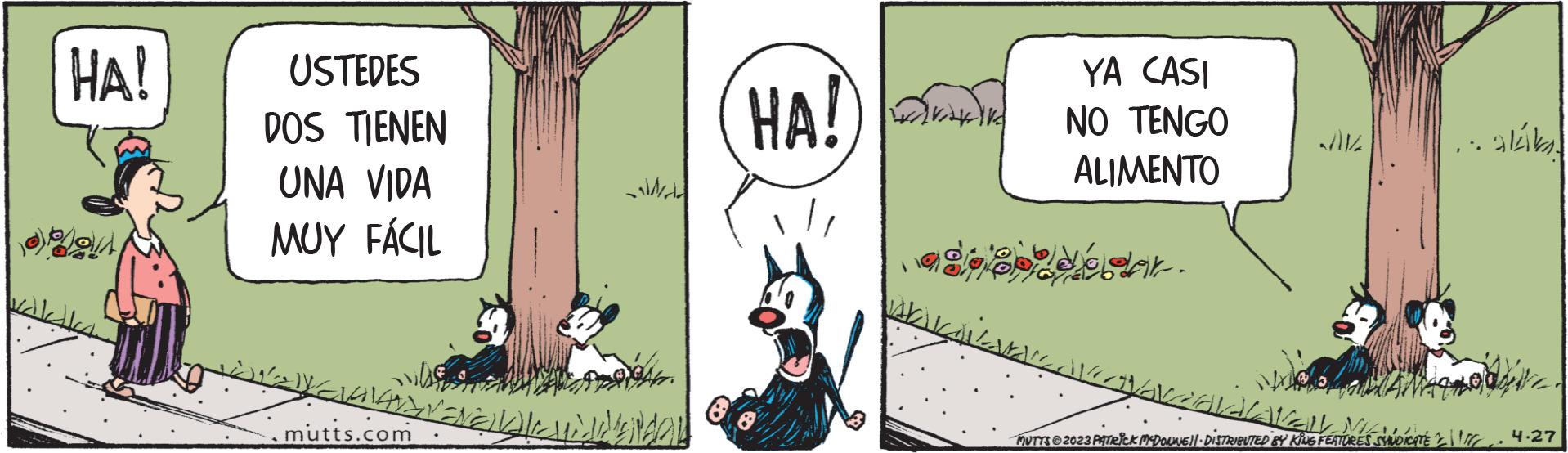 Grass OCR: HA! ??? ??? USTEDES DOS TIENEN UNA VIDA MUY FÁCIL .mutts.com ? ??? HA!) SVAHAIR YA CASI NO TENGO ALIMENTO . ??? ? MUTTS?2023 PATRICK MCDOUNE||- DISTRIBUTED BY KING FEATURES SYNDICATE 14.27 HA ! ??? ??? USTEDES DOS TIENEN UNA VIDA MUY FÁCIL .mutts.com ? ??? HA ! ) SVAHAIR YA CASI NO TENGO ALIMENTO . ??? ? MUTTS?2023 PATRICK MCDOUNE || - DISTRIBUTED BY KING FEATURES SYNDICATE 14.27