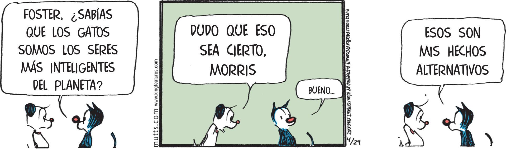 Art OCR: FOSTER¿SABÍAS QUE LOS GATOS SOMOS LOS SERES MÁS INTELIGENTES DEL PLANETA? mutts.com www.kingfeatures.com DUDO QUE ESO SEA CIERTOMORRIS BUENO... MUTYS @2023 PATRICK MYDOWWE!! DISTRIBUTED BY KING FEATURES SYNDICATE 4/29 ESOS SON MIS HECHOS ALTERNATIVOS FOSTER¿ SABÍAS QUE LOS GATOS SOMOS LOS SERES MÁS INTELIGENTES DEL PLANETA ? mutts.com www.kingfeatures.com DUDO QUE ESO SEA CIERTOMORRIS BUENO ... MUTYS @ 2023 PATRICK MYDOWWE !! DISTRIBUTED BY KING FEATURES SYNDICATE 4/29 ESOS SON MIS HECHOS ALTERNATIVOS