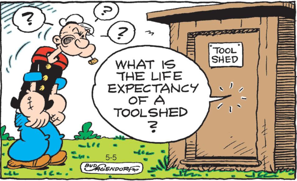 Fiction OCR: ? alla ???? ?? 5 ? M WHAT IS THE LIFE EXPECTANCY OF A TOOLSHED ? 5-5 AGENDORFO th TOOL SHED SucouTu ??? toi ? alla ???? ?? 5 ? M WHAT IS THE LIFE EXPECTANCY OF A TOOLSHED ? 5-5 AGENDORFO th TOOL SHED SucouTu ??? toi