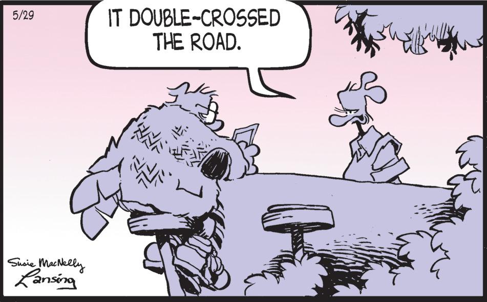 Illustration OCR: 5/29 Susie MacNelly Lansing IT DOUBLE-CROSSED THE ROAD. it. NE K he 5/29 Susie MacNelly Lansing IT DOUBLE - CROSSED THE ROAD . it . NE K he