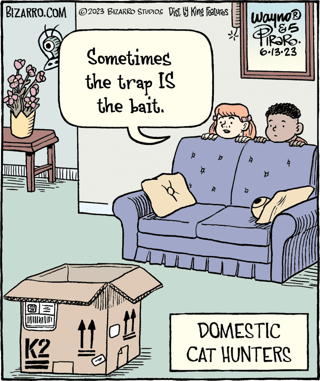 Flowerpot OCR: BIZARRO.COM 2023 BIZARRO STUDIOS Dist. ly King Features 93 BALLAD K2 Sometimes the trap IS the bait. A D b ????? Wayno? ¹85 PIRARO. ? 6.13.23 À b g DOMESTIC CAT HUNTERS BIZARRO.COM 2023 BIZARRO STUDIOS Dist . ly King Features 93 BALLAD K2 Sometimes the trap IS the bait . A D b ????? Wayno? ¹85 PIRARO . ? 6.13.23 À b g DOMESTIC CAT HUNTERS