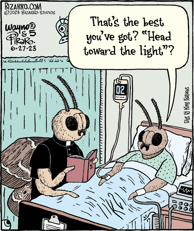 Art OCR: BIZARRO.COM ?2023 BIZARRO STUDIOS Wayno? & 5 PiRaRo. 6.27.23 DELMAN 40 m That's the best you've got? "Head toward the light"? " 02 ALL HERE Dist. by King Features BIZARRO.COM ?2023 BIZARRO STUDIOS Wayno? & 5 PiRaRo . 6.27.23 DELMAN 40 m That's the best you've got ? " Head toward the light " ? " 02 ALL HERE Dist . by King Features