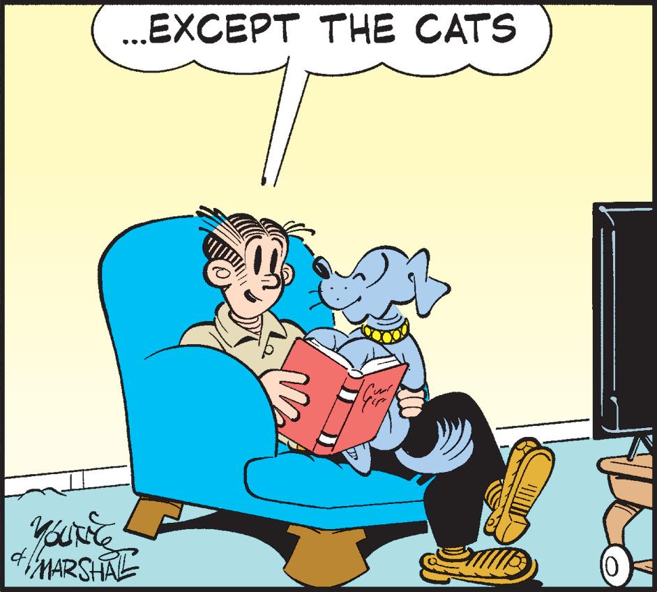 Pleased OCR: ...EXCEPT THE CATS YOUNEES of MARSHAL Griff (0) ... EXCEPT THE CATS YOUNEES of MARSHAL Griff ( 0 )