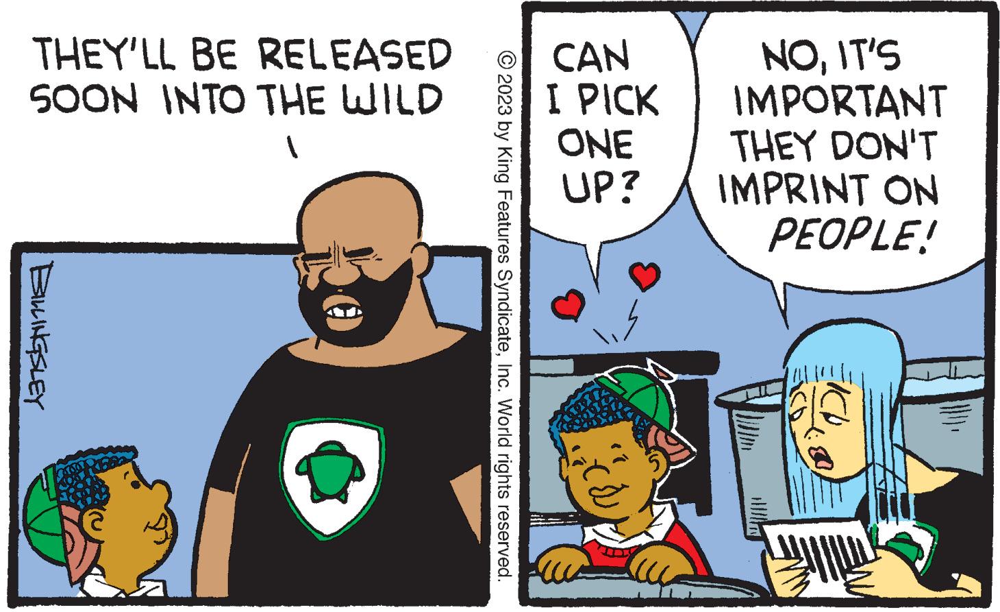 Comics OCR: THEY'LL BE RELEASED SOON INTO THE WILD BILLINGSLEY © 2023 by King Features SyndicateInc. World rights reserved. CAN I PICK ONE UP? NOIT'S IMPORTANT THEY DON'T IMPRINT ON PEOPLE! ? THEY'LL BE RELEASED SOON INTO THE WILD BILLINGSLEY © 2023 by King Features SyndicateInc. World rights reserved . CAN I PICK ONE UP ? NOIT'S IMPORTANT THEY DON'T IMPRINT ON PEOPLE ! ?