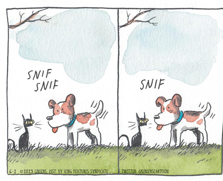 Grass OCR: Ku SNIF SNIF Wed U " 6-2 2023 LINIERSDIST. BY KING FEATURES SYNDICATE Vi E SNIF TWITTER: @LINIERSCARTOON Ku SNIF SNIF Wed U " 6-2 2023 LINIERSDIST . BY KING FEATURES SYNDICATE Vi E SNIF TWITTER : @LINIERSCARTOON