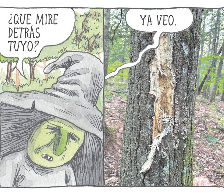 Trunk OCR: ¿QUE MIRE DETRÁS TUYO? i 452 Ma m YA VEO. ¿ QUE MIRE DETRÁS TUYO ? i 452 Ma m YA VEO .