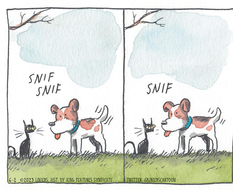 Rectangle OCR: ??? SNIF SNIF Well 6-2 2023 LINIERSDIST. BY KING FEATURES SYNDICATE E SNIF TWITTER: @LINIERSCARTOON You ??? SNIF SNIF Well 6-2 2023 LINIERSDIST . BY KING FEATURES SYNDICATE E SNIF TWITTER : @LINIERSCARTOON You