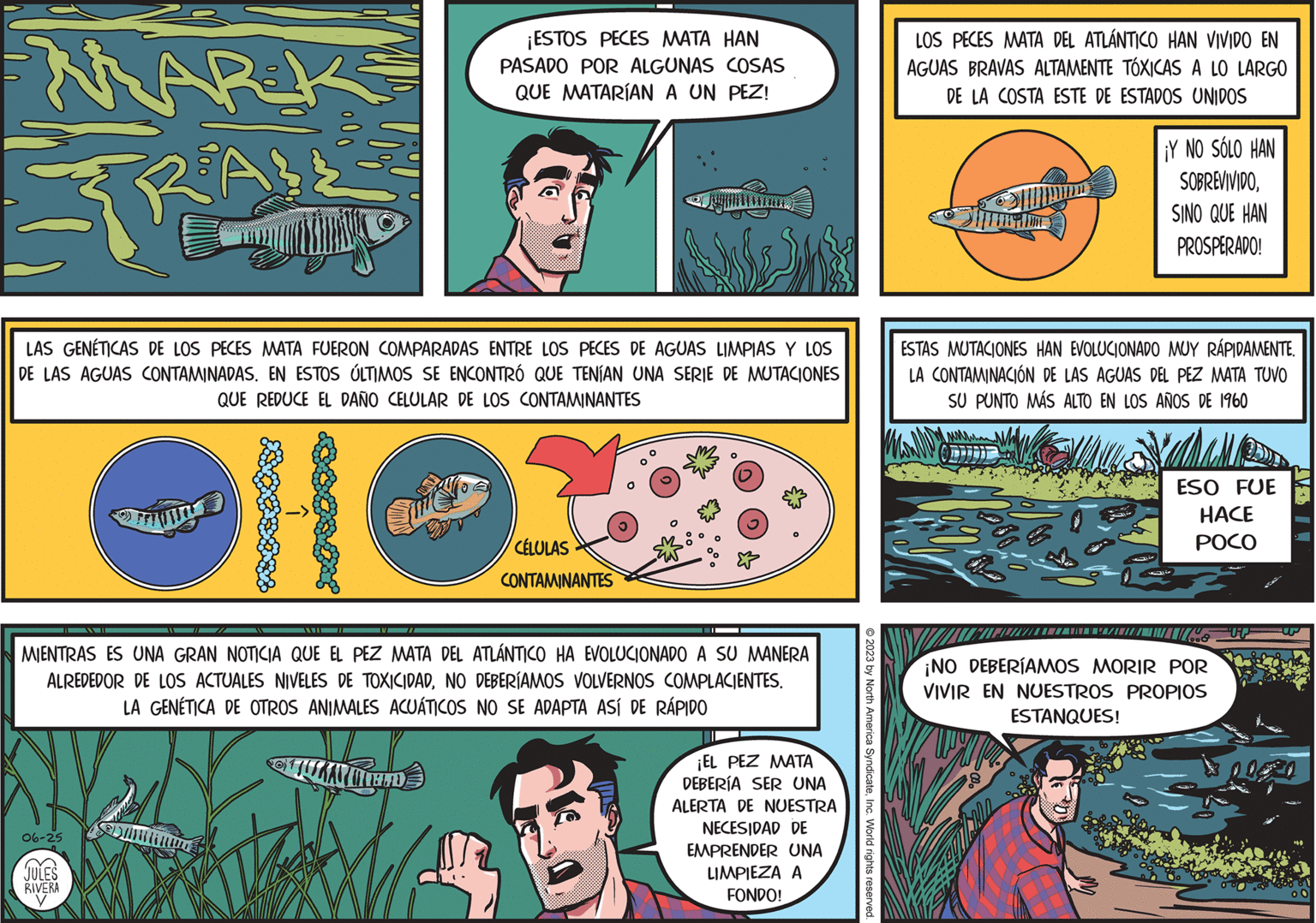 Comics OCR: -MARK= RA!! LAS GENÉTICAS DE LOS PECES MATA FUERON COMPARADAS ENTRE LOS PECES DE AGUAS LIMPIAS Y LOS DE LAS AGUAS CONTAMINADAS. EN ESTOS ÚLTIMOS SE ENCONTRÓ QUE TENÍAN UNA SERIE DE MUTACIONES QUE REDUCE EL DAÑO CELULAR DE LOS CONTAMINANTES 06-25 (?? CBJULES LIE RIVERA W MIENTRAS ES UNA GRAN NOTICIA QUE EL PEZ MATA DEL ATLÁNTICO HA EVOLUCIONADO A SU MANERA ALREDEDOR DE LOS ACTUALES NIVELES DE TOXICIDADNO DEBERÍAMOS VOLVERNOS COMPLACIENTES. LA GENÉTICA DE OTROS ANIMALES ACUÁTICOS NO SE ADAPTA ASÍ DE RÁPIDO ¡ESTOS PECES MATA HAN PASADO POR ALGUNAS COSAS QUE MATARÍAN A UN PEZ! KAT UITEITE CÉLULAS CONTAMINANTES I ¡EL PEZ MATA DEBERÍA SER UNA ALERTA DE NUESTRA NECESIDAD DE EMPRENDER UNA LIMPIEZA A FONDO! © 2023 by North America SyndicateInc. World rights reserved. LOS PECES MATA DEL ATLÁNTICO HAN VIVIDO EN AGUAS BRAVAS ALTAMENTE TÓXICAS A LO LARGO DE LA COSTA ESTE DE ESTADOS UNIDOS ¡Y NO SÓLO HAN SOBREVIVIDOSINO QUE HAN PROSPERADO! ESTAS MUTACIONES HAN EVOLUCIONADO MUY RÁPIDAMENTE. LA CONTAMINACIÓN DE LAS AGUAS DEL PEZ MATA TUVO SU PUNTO MÁS ALTO EN LOS AÑOS DE 1960 AWA ESO FUE HACE POCO 1165 UP ¡NO DEBERÍAMOS MORIR POR VIVIR EN NUESTROS PROPIOS ESTANQUES! 00²0 -MARK = RA !! LAS GENÉTICAS DE LOS PECES MATA FUERON COMPARADAS ENTRE LOS PECES DE AGUAS LIMPIAS Y LOS DE LAS AGUAS CONTAMINADAS . EN ESTOS ÚLTIMOS SE ENCONTRÓ QUE TENÍAN UNA SERIE DE MUTACIONES QUE REDUCE EL DAÑO CELULAR DE LOS CONTAMINANTES 06-25 ( ?? CBJULES LIE RIVERA W MIENTRAS ES UNA GRAN NOTICIA QUE EL PEZ MATA DEL ATLÁNTICO HA EVOLUCIONADO A SU MANERA ALREDEDOR DE LOS ACTUALES NIVELES DE TOXICIDADNO DEBERÍAMOS VOLVERNOS COMPLACIENTES . LA GENÉTICA DE OTROS ANIMALES ACUÁTICOS NO SE ADAPTA ASÍ DE RÁPIDO ¡ ESTOS PECES MATA HAN PASADO POR ALGUNAS COSAS QUE MATARÍAN A UN PEZ ! KAT UITEITE CÉLULAS CONTAMINANTES I ¡ EL PEZ MATA DEBERÍA SER UNA ALERTA DE NUESTRA NECESIDAD DE EMPRENDER UNA LIMPIEZA A FONDO ! © 2023 by North America SyndicateInc. World rights reserved . LOS PECES MATA DEL ATLÁNTICO HAN VIVIDO EN AGUAS BRAVAS ALTAMENTE TÓXICAS A LO LARGO DE LA COSTA ESTE DE ESTADOS UNIDOS ¡ Y NO SÓLO HAN SOBREVIVIDOSINO QUE HAN PROSPERADO ! ESTAS MUTACIONES HAN EVOLUCIONADO MUY RÁPIDAMENTE . LA CONTAMINACIÓN DE LAS AGUAS DEL PEZ MATA TUVO SU PUNTO MÁS ALTO EN LOS AÑOS DE 1960 AWA ESO FUE HACE POCO 1165 UP ¡ NO DEBERÍAMOS MORIR POR VIVIR EN NUESTROS PROPIOS ESTANQUES ! 00²0