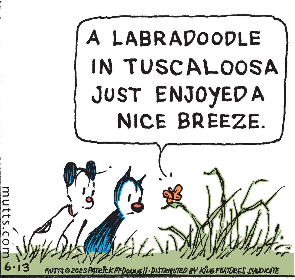 Poster OCR: mutts.com A LABRADOODLE IN TUSCALOOSA JUST ENJOYED A NICE BREEZE. G www.s M 6.13 J MUTTS © 2023 PATRICK MCDONWE||· DISTRIBUTED BY KING FEATURES SYNDICATE mutts.com A LABRADOODLE IN TUSCALOOSA JUST ENJOYED A NICE BREEZE . G www.s M 6.13 J MUTTS © 2023 PATRICK MCDONWE || · DISTRIBUTED BY KING FEATURES SYNDICATE