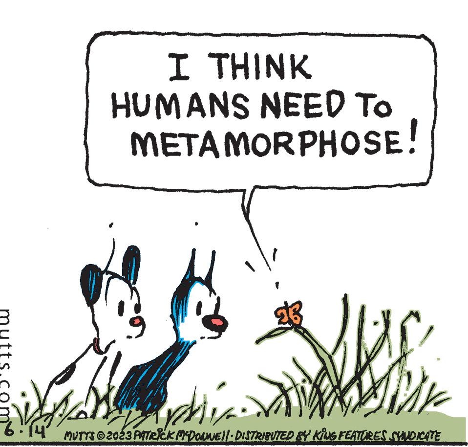 Art OCR: 6.14² I THINK HUMANS NEED TO METAMORPHOSE! 23 Hayley archi MUTTS © 2023 PATRICK MCDONNE||· DISTRIBUTED BY KING FEATURES SYNDICATE 6.14² I THINK HUMANS NEED TO METAMORPHOSE ! 23 Hayley archi MUTTS © 2023 PATRICK MCDONNE || · DISTRIBUTED BY KING FEATURES SYNDICATE