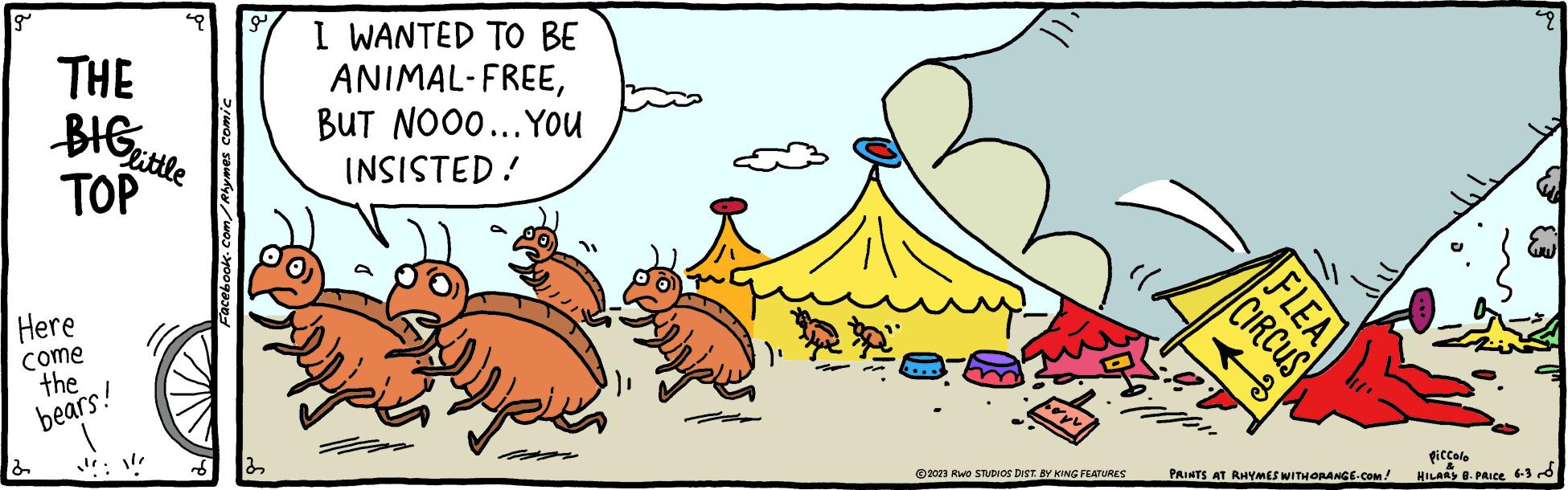 Rectangle OCR: g THE BIG little TOP Here come the bears! 2 Facebook.com/Rhymes comic g I WANTED TO BE ANIMAL-FREEBUT NOOO... YOU INSISTED! up 2023 RWO STUDIOS DIST. BY KING FEATURES M FLEA CIRCUS +3 PRINTS AT RHYMES WITH ORANGE.COM! 9 piccolo HILARY B. PRICE 6-3 d g THE BIG little TOP Here come the bears ! 2 Facebook.com/Rhymes comic g I WANTED TO BE ANIMAL - FREEBUT NOOO ... YOU INSISTED ! up 2023 RWO STUDIOS DIST . BY KING FEATURES M FLEA CIRCUS +3 PRINTS AT RHYMES WITH ORANGE.COM ! 9 piccolo HILARY B. PRICE 6-3 d