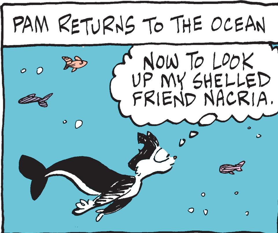 Rectangle OCR: PAM RETURNS TO THE OCEAN NOW TO LOOK UP MY SHELLED FRIEND NACRIA. 3 B A I PAM RETURNS TO THE OCEAN NOW TO LOOK UP MY SHELLED FRIEND NACRIA . 3 B A I