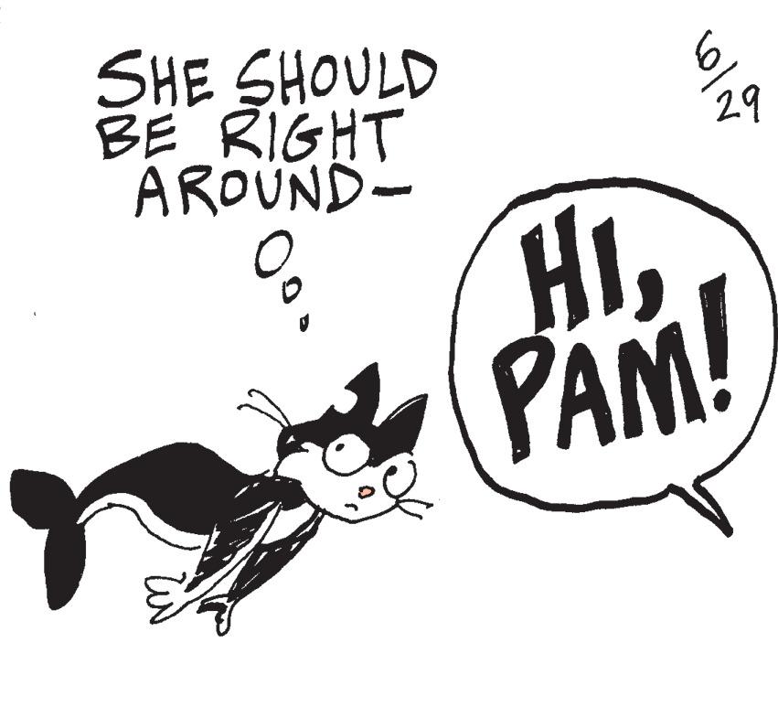 Illustration OCR: SHE SHOULD BE RIGHT AROUND- E bolna HIPAM! SHE SHOULD BE RIGHT AROUND E bolna HIPAM !