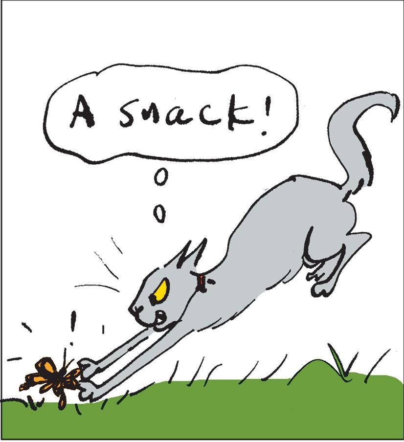 Illustration OCR: A snack! 0 0 Q A snack ! 0 0 Q